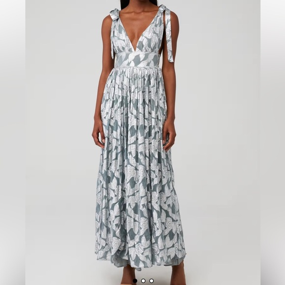 Jen's Pirate Booty Dresses & Skirts - JEN'S PIRATE BOOTY Rising Star Monaco Maxi in rising star silver $275 - Size M